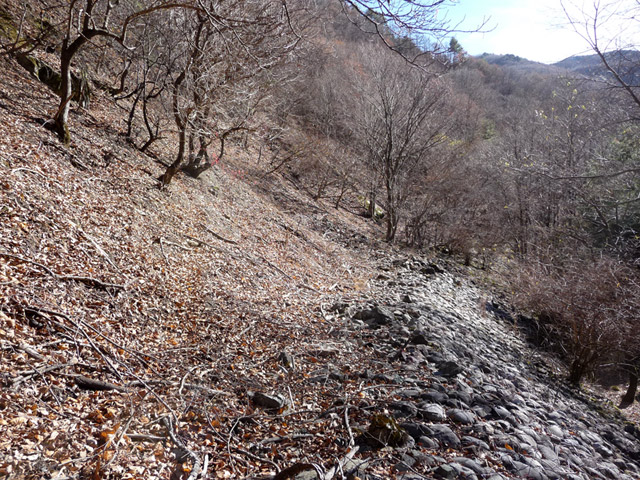 �Y�X�ѓS��,�p����,�ѓS,�O����