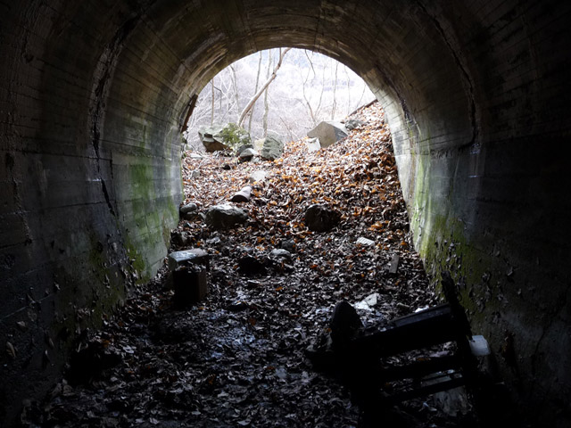 �Y�X�ѓS��,�p����,�ѓS,�g���l��,�p詓�,����