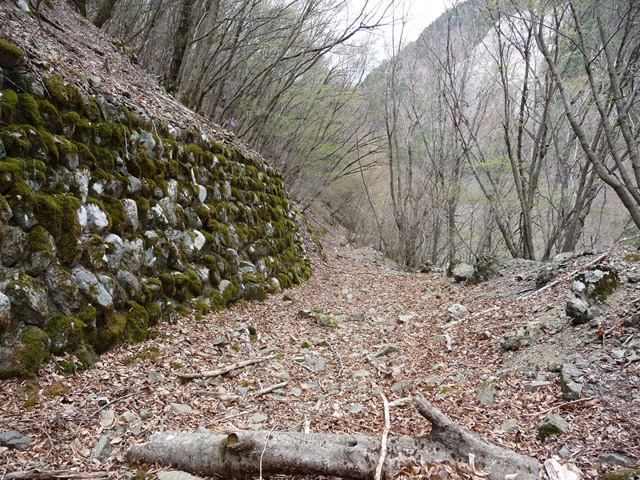 �Y�X�ѓS��,�ѓS,�p����,�O����,�O����,�ѓ�,�ɓ߉c�я�