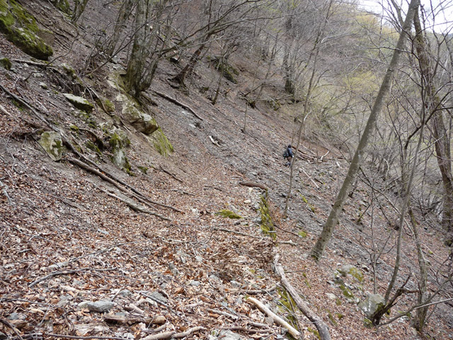 �Y�X�ѓS��,�ѓS,�p����,�O����,�O����,���ˋ�,�ɓ߉c�я�