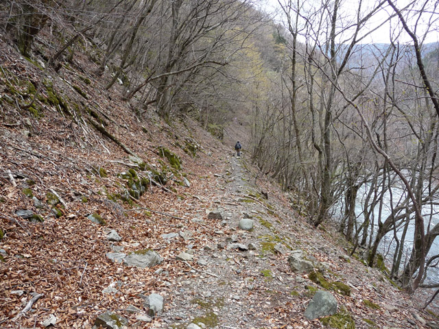 �Y�X�ѓS��,�ѓS,�p����,�O����,�O����,�����ˋ�,�ѓ�