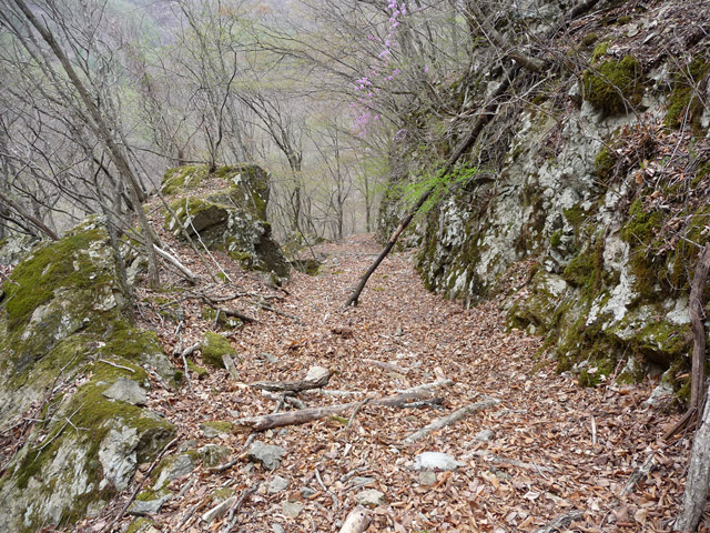 �Y�X�ѓS��,�ѓS,�p����,�O����,�O����,�ѓ�,�ɓ߉c�я�