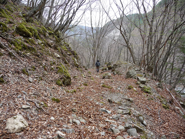 �Y�X�ѓS��,�ѓS,�p����,�O����,�O����,�ѓ�,�ɓ߉c�я�