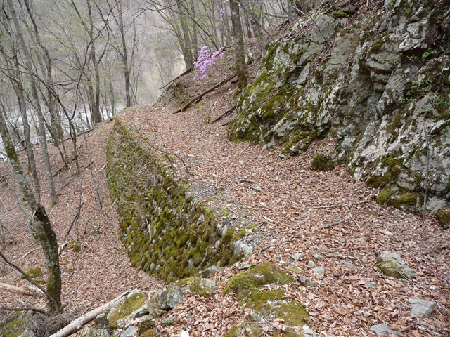 �Y�X�ѓS��,�ѓS,�p����,�O����,�O����,�ѓ�,�ɓ߉c�я�