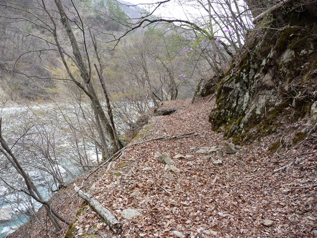 �Y�X�ѓS��,�ѓS,�p����,�O����,�O����,�ѓ�,�ɓ߉c�я�