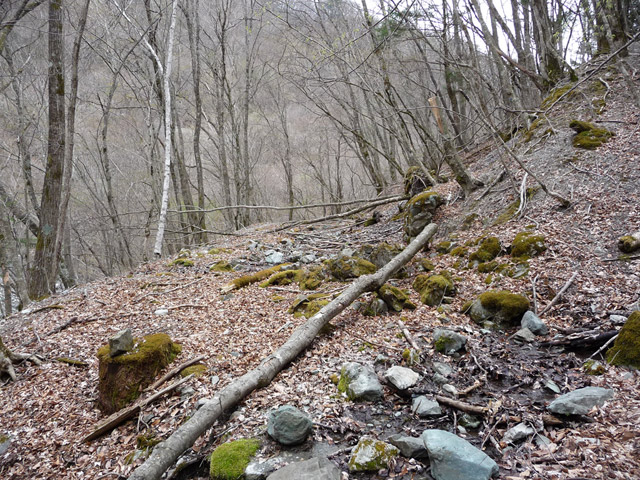 �Y�X�ѓS��,�p����,�O����,�ѓS,�O����,����c�ы�,�ɓ߉c�я�