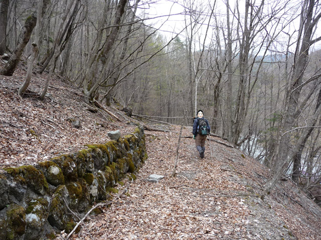 �Y�X�ѓS��,�p����,�O����,�ѓS,�O����,����c�ы�,�Ί_