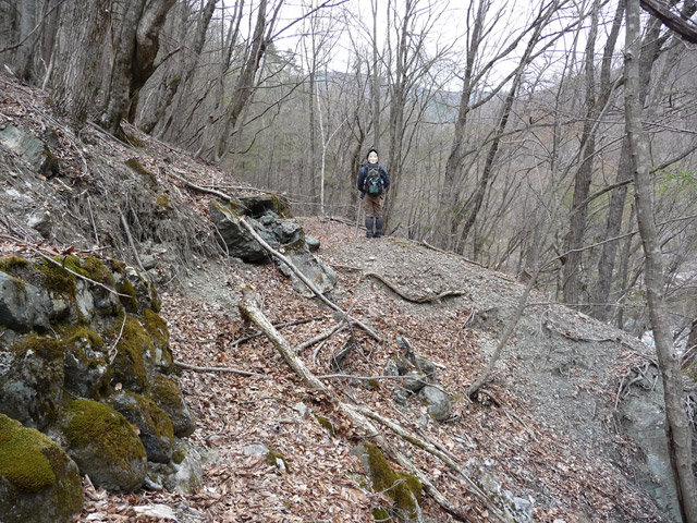 �Y�X�ѓS��,�p����,�O����,�ѓS,�O����,�H�՗���,�Ί_