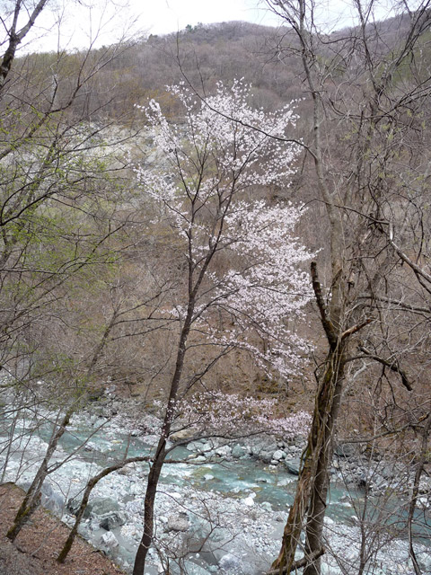 �Y�X�ѓS��,�p����,�ѓS,�c�я��O����,�O����,���}�U�N��,�R��