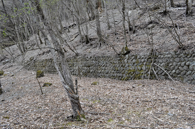 �Y�X�ѓS��,�p����,�ѓS,�c�я��O����,�O����,�ɓ߉c�я�,�Ί_