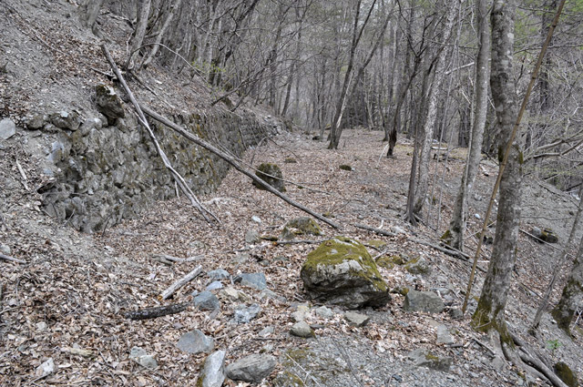 �Y�X�ѓS��,�p����,�ѓS,�c�я��O����,�O����,���ꋷ�O,�P��