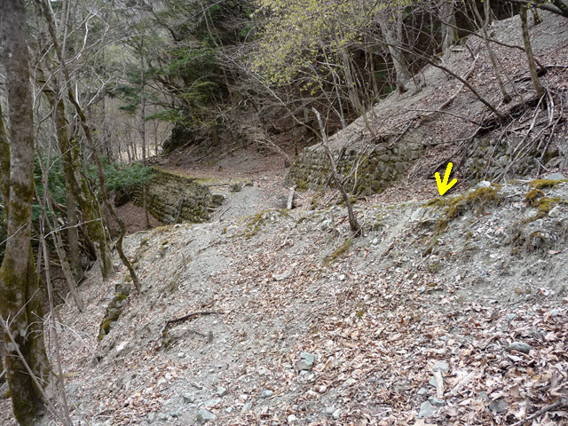 �Y�ѓS,�p����,�X�ѓS��,�O����,�i���[�O����,�p��,����