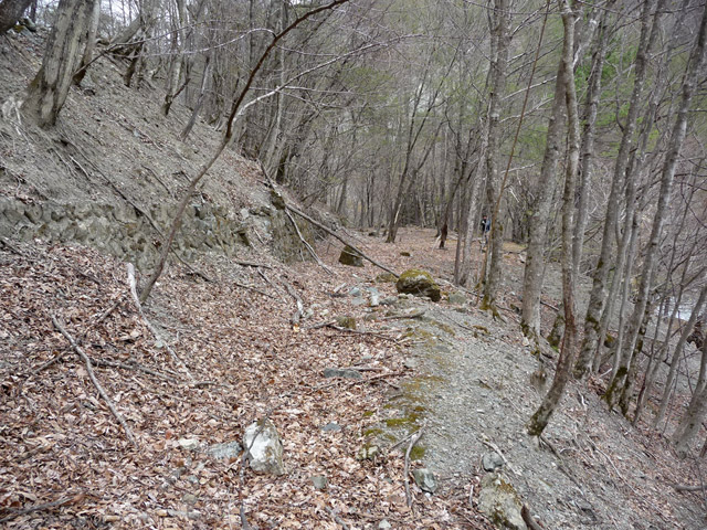 �Y�ѓS,�p����,�X�ѓS��,�O����,�c�я��O����,�ѓ�,����