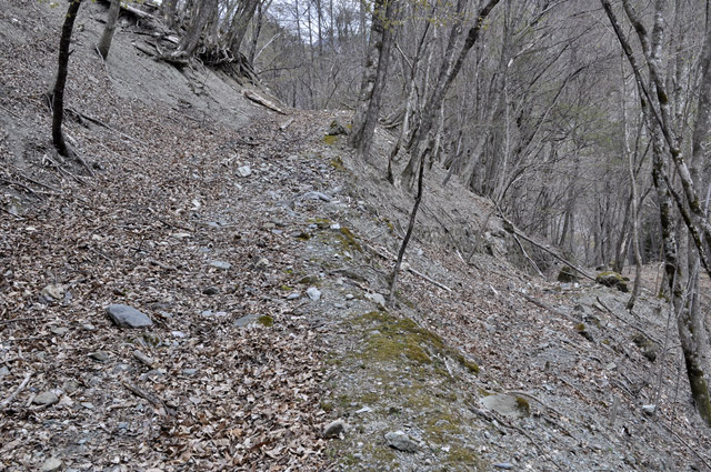 �Y�ѓS,�p����,�X�ѓS��,�O����,�c�я��O����,�W��,�p��