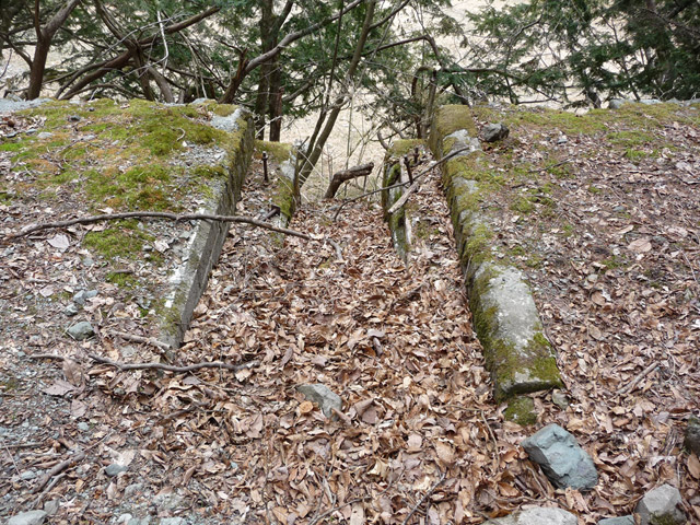 �Y�ѓS,�p����,�X�ѓS��,�O����,�y�֋O����,�p��,�J��