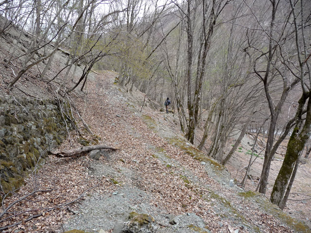 �Y�ѓS,�p����,�X�ѓS��,�O����,�y�֋O����,�p��,�ѓ�