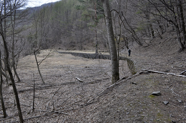 �Y�X�ѓS��,�p����,�O����,�ѓS,�؍މ^���O����,������ԏ�,�S�̑�