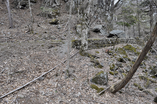 �Y�X�ѓS��,�p����,�O����,�ѓS,�؍މ^���O����,������ԏ�,�Ί_