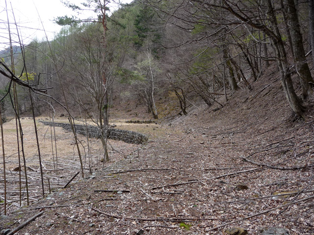 �Y�ѓS,�p����,�X�ѓS��,�O����,�y�֋O����,������ԏ�,�ѓ�