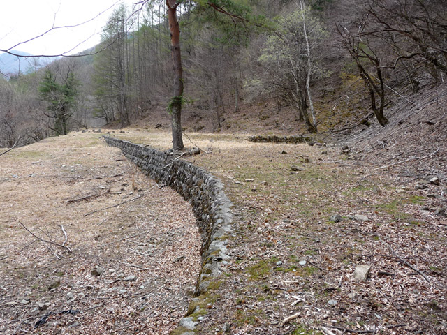 �Y�ѓS,�p����,�X�ѓS��,�O����,�؍މ^���O����,������ԏ�,�ɓ߉c�я�