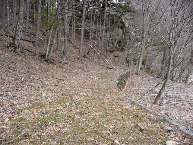 �Y�ѓS,�p����,�X�ѓS��,�O����,�؍މ^���O����,������ԏ�,����c�ы�