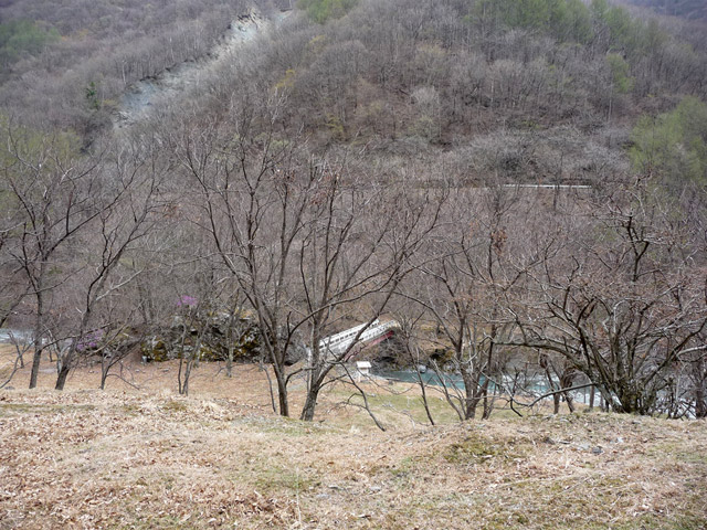 �Y�X�ѓS��,�p����,�ѓS,�؍މ^���O����,������ԏ�,�ѓ�,�O����