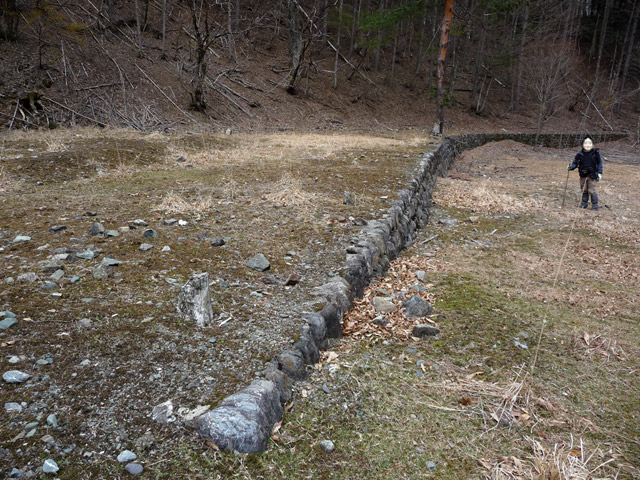 �Y�X�ѓS��,�p����,�ѓS,�i���[�O����,������ԏ�,�ѓ�,�ɓߎs