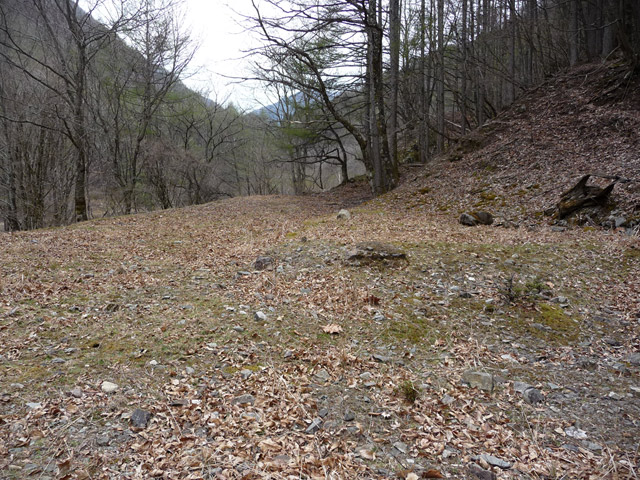 �Y�X�ѓS��,�p����,�ѓS,�i���[�O����,������ԏ�,�ѓ�,�ɓ߉c�я�