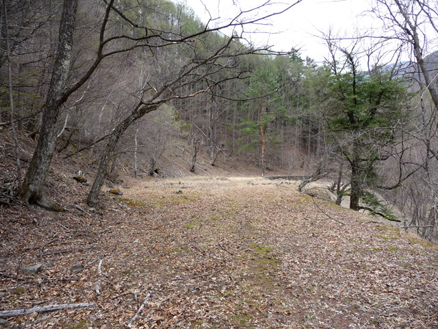 �Y�X�ѓS��,�p����,�ѓS,�y�֋O����,������ԏ�,�ѓ�,�ɓߎs