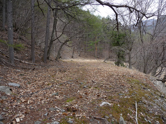 �Y�X�ѓS��,�p����,�ѓS,�y�֋O����,������ԏ�,�ѓ�,�i���[�Q�[�W