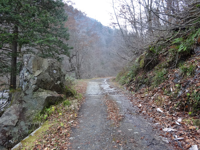 ���،ːX�ѓS�����m���x��,�ѓS,�p����,�ѓ�,�؂�ʂ�,�_���c�я�