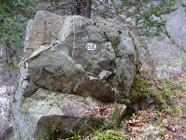 ���،ːX�ѓS�����m���x��,�ѓS,�p����,�ѓ�,�����W,�ԓ���