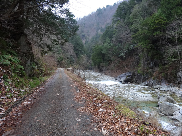 ���،ːX�ѓS�����m���x��,�ѓS,�p����,�ѓ�,���m����,�k��