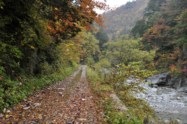 ���،ːX�ѓS�����m���x��,�ѓS,�p����,�ѓ�,���m����,�g�t