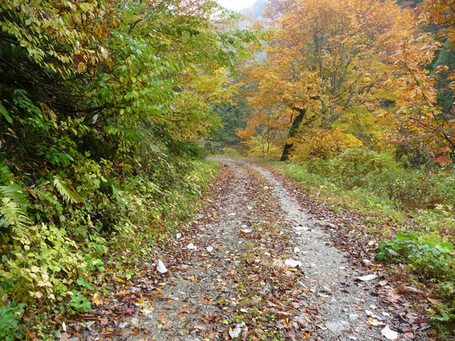 ���،ːX�ѓS�����m���x��,�ѓS,�p����,�c�я��O����,�H��,�ѓ�