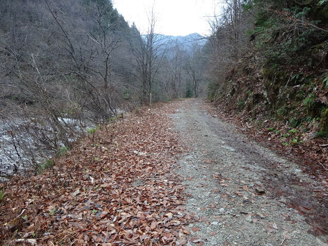 ���،˗ѓS,�X�ѓS��,�p����,���m���x��,�c�я��O����,�k�A���v�X,�Ԗ؊x