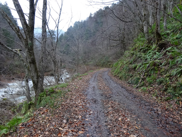 ���،˗ѓS,�X�ѓS��,�p����,���m���x��,�i���[�O����,�_���c�я�,���É��c�ы�