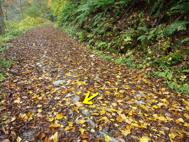 ���،˗ѓS,�X�ѓS��,�p����,���m���x��,�g���b�R�O����,2�t�B�[�g6�C���`,�H��