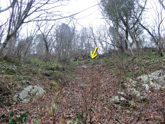 ���،˗ѓS,�X�ѓS��,�p����,���m���x��,�؍މ^���O����,�X�C�b�`�o�b�N,2����