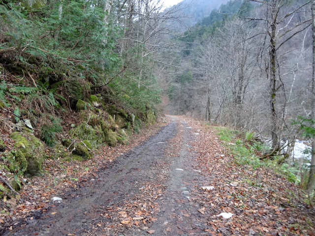 ���،˗ѓS,�X�ѓS��,�p����,���m���x��,�i���[�O����,�ѓ�,����