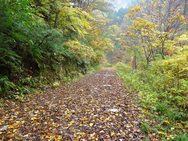 ���،˗ѓS,�X�ѓS��,�p����,���m���x��,�i���[�O����,�ѓ�,�g�t