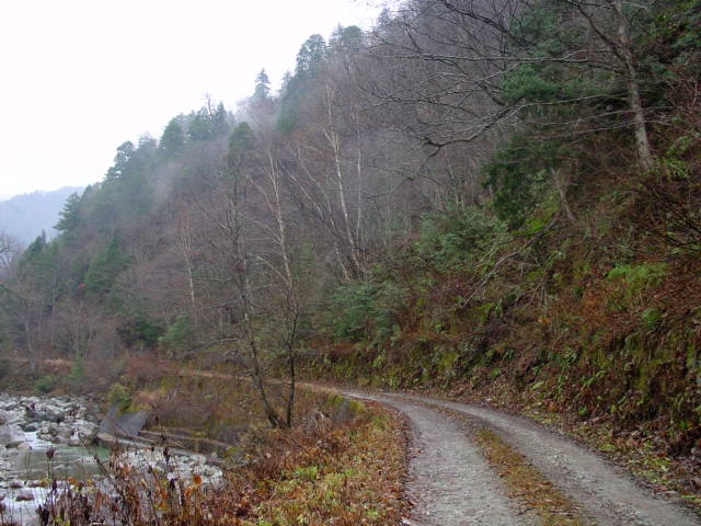 ���،ːX�ѓS�����m���x��,�ѓS,�p����,�i���[�O����,�H��,�ѓ�