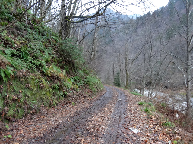 ���،ːX�ѓS�����m���x��,�ѓS,�p����,�i���[�O����,�_���c�я�,�ѓ�