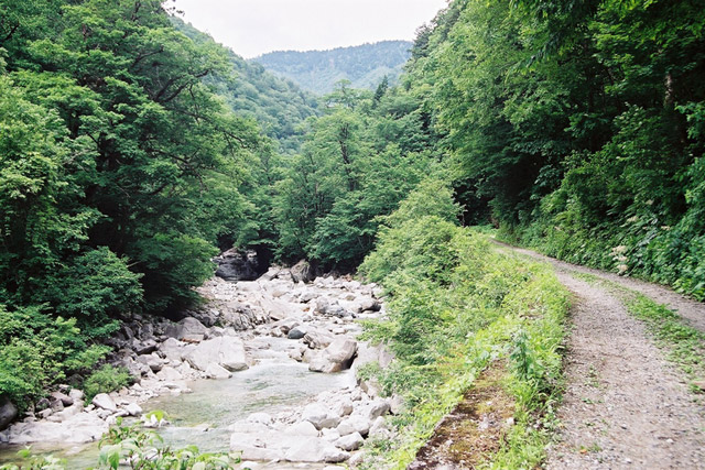 ���،˗ѓS,�X�ѓS��,�p����,���m���x��,�؍މ^���O����,�ѓ�,���m����