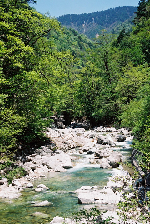 ���،˗ѓS,�X�ѓS��,�p����,���m���x��,�c�я��O����,�k��,���m����