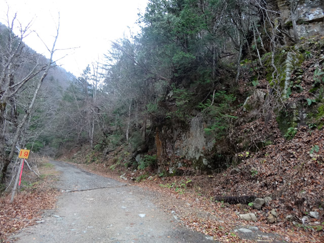 ���،ːX�ѓS�����m���x��,�ѓS,�p����,�i���[�O����,���z,�ѓ�