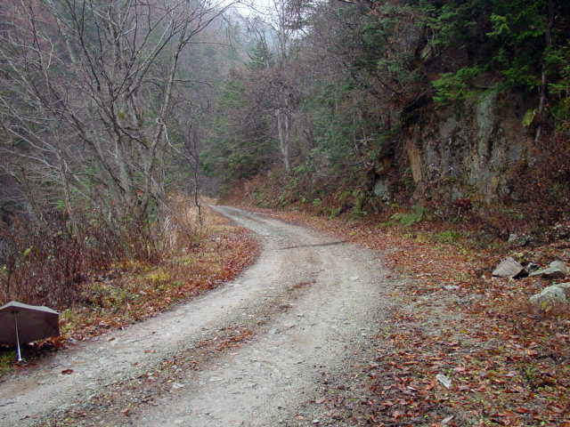 ���،ːX�ѓS�����m���x��,�ѓS,�p����,�i���[�O����,�Ȑ�,�ѓ�