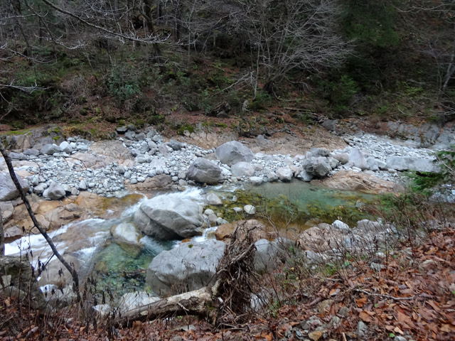 ���،ːX�ѓS�����m���x��,�ѓS,�p����,�i���[�O����,���m����,���i