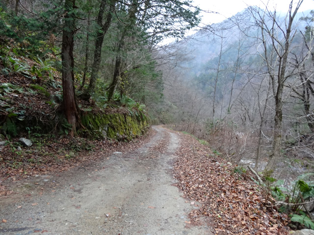 ���،ːX�ѓS�����m���x��,�ѓS,�p����,�i���[�O����,�Ί_,�ѓ�