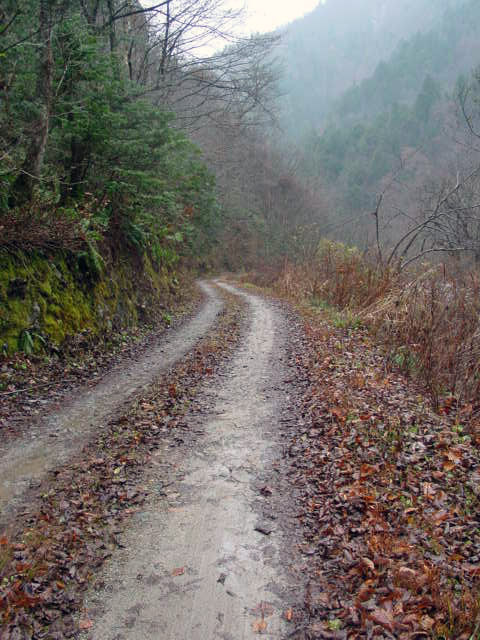 ���،ːX�ѓS�����m���x��,�ѓS,�p����,�c�я��O����,�񋉐�,�ԓ���